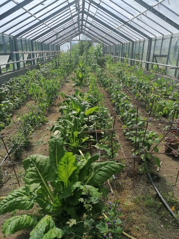 Bild 14 LLA Rotholz Wasser in der Landwirtschaftlow