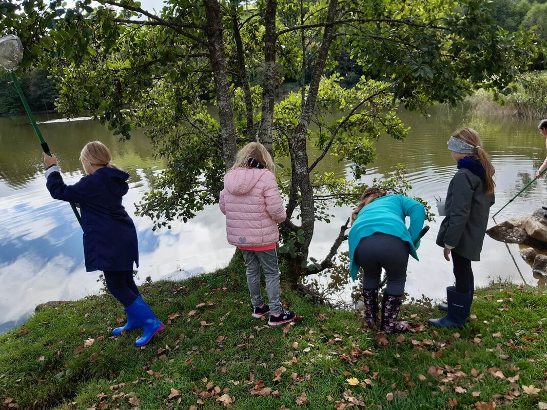 Bild 7 VS Saalfelden Teich Untersuchunglow