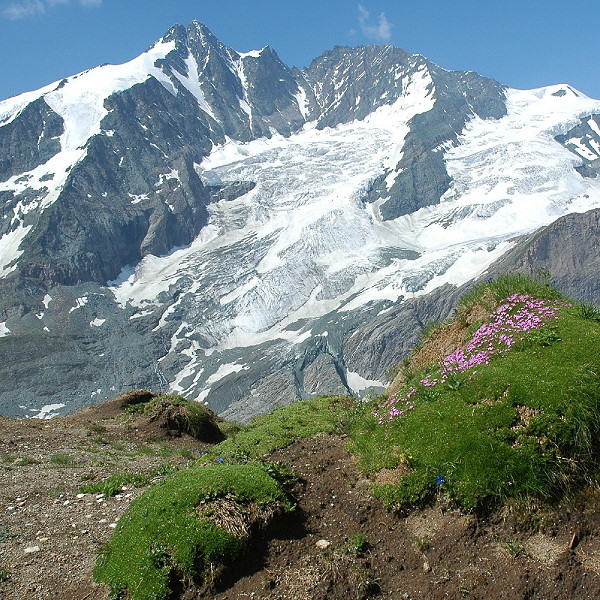 Großglockner von Gamsgruber aus 