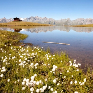 ZupalseehuetteamLasoerlingHoehenweg_cNPHTLugger_1