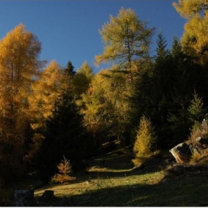 Nationalfeiertagstour ins farbenpraechtige Zedlacher Paradies c NPHT