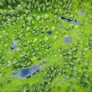 Rauriser Urwald c Michael Schlamberger