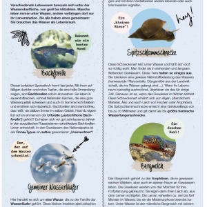 Ausgabe Kindermagazin Fruehling_Sommer 2019-K2