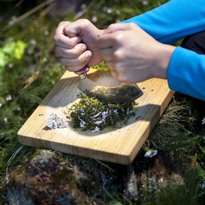 Allgemein_Kräuter_cNationalparkHoheTauern_Martin Lugger (8) (Medium)