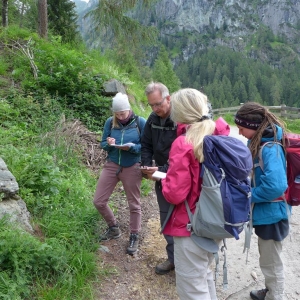 Botaniker_CNPHT_Hainzer (Medium)