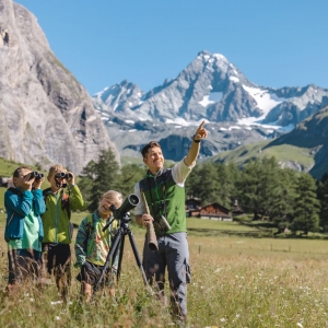 wildtierbeobachtung2-c-nationalparkhohetauern-mathäus-gartner