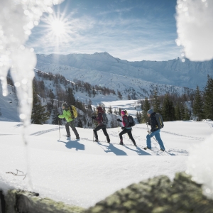 Schneeschuhwanderung_©NationalparksAustria_StefanLeitner (9)