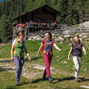 Seite  16_c Nationalpark Hohe Tauern_Alexander Tempel_Herbst_Matrei_rund um den Grünsee_3_Almenwanderung (46)