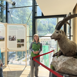 Nationalpark Rangerin erzählt Besucher:Innen Interessantes zum Steinbock