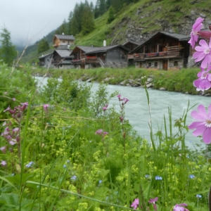 c Nationalpark Hohe Tauern Simon Zeiner_kompr