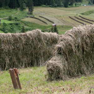 Mahd Praegraten cNPHT Gruber