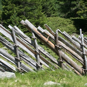 Praebigenzaun_Debanttal_cNPHT_Thomas_Steiner