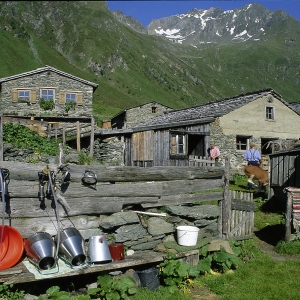 Zedlacher Almen cNPHT Gruber