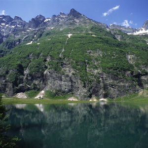 Naturjuwel Hintersee im Felber Amertal (c) NPHT/F. Rieder