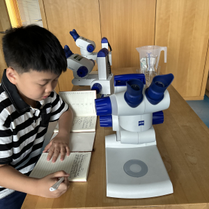 Chinesischer Schueler im Science Center Mittersill © Ying Jiang